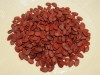 Melon Seeds - Hạt Dưa