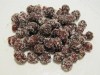 Otaheite Gooseberry - Chùm Ruột
