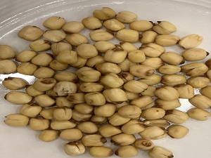 Sen Xấy