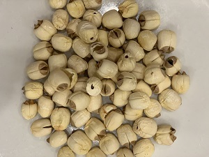 Hột Sen
